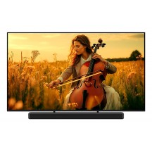 Televizor Sony  K55XR55B.CEI
