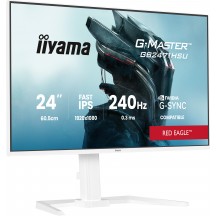 Monitor iiyama  GB2471HSU-W1