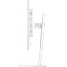Monitor iiyama  XB2497HSU-W1