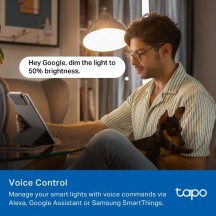 Bec TP-Link  Tapo L430C