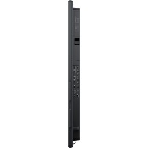 Monitor Dell  P7525QT