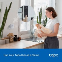 Camera de supraveghere TP-Link  TAPO D205