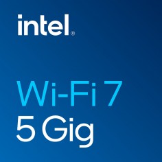 Placa de retea Intel Wi-Fi 7 BE200 BE200.NGWG