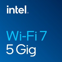 Placa de retea Intel Wi-Fi 7 BE200 BE200.NGWG