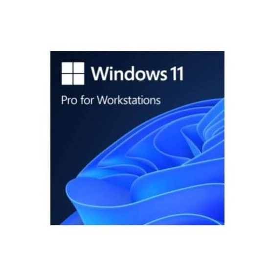 Sistem de operare Microsoft Windows 11 Pro for Workstations HZV-00101