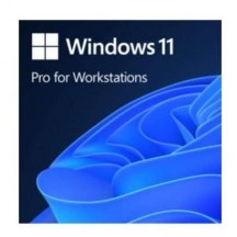 Sistem de operare Microsoft Windows 11 Pro for Workstations HZV-00101
