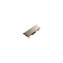 Placa video PNY nVidia A2 Low Profile TCSA2M-PB