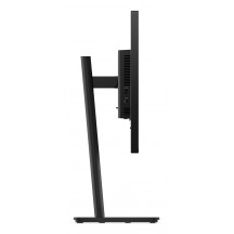 Monitor Lenovo ThinkVision T24-40 64A4MAT2EU