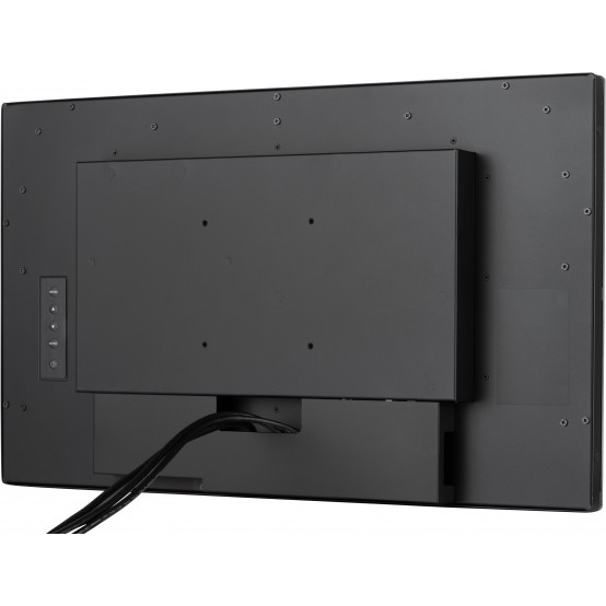 Monitor iiyama  TF2438MSC-B2
