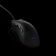 Mouse Verbatim SureFire Condor Claw 48816