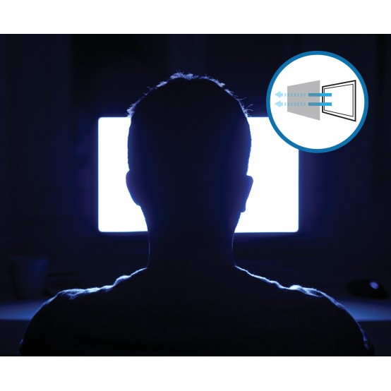Filtru de confidentialitate Kensington  628662