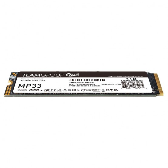 SSD TeamGroup MP33 TM8FP6001T0C101