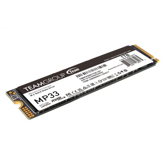 SSD TeamGroup MP33 TM8FP6001T0C101