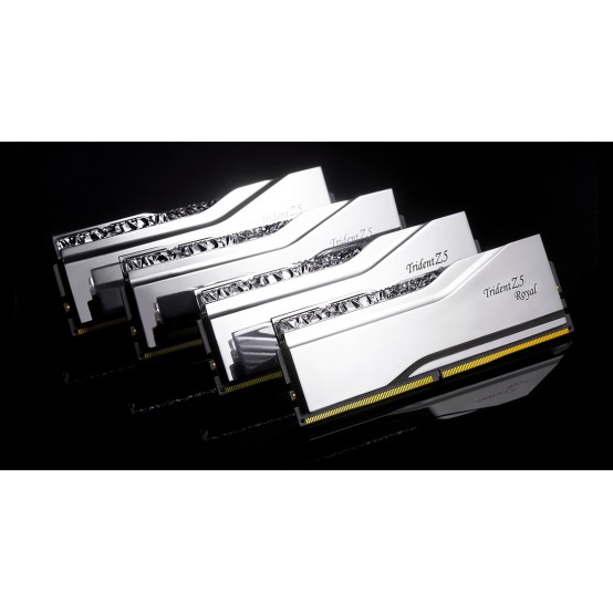 Memorie G.Skill Trident Z5 Royal F5-8000J4048F24GX2-TR5S