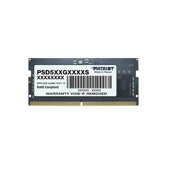 Memorie Patriot Signature Line PSD58G560041S