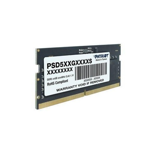 Memorie Patriot Signature Line PSD58G560041S