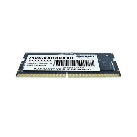 Memorie Patriot Signature Line PSD58G560041S