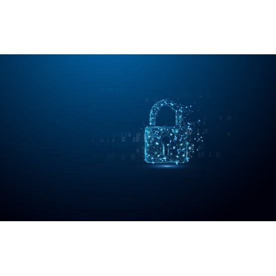 Memorie flash USB Kingston IronKey Locker+ 50 G2 IKLP50G2/32GB