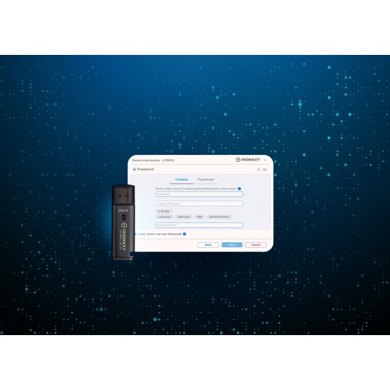 Memorie flash USB Kingston IronKey Locker+ 50 G2 IKLP50G2/256GB