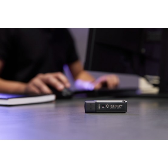 Memorie flash USB Kingston IronKey Locker+ 50 G2 IKLP50G2/256GB