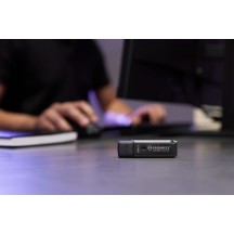 Memorie flash USB Kingston IronKey Locker+ 50 G2 IKLP50G2/256GB