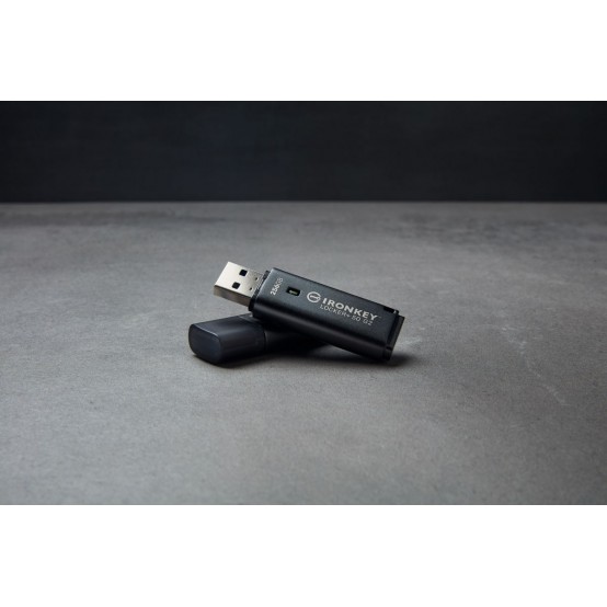 Memorie flash USB Kingston IronKey Locker+ 50 G2 IKLP50G2/256GB