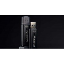Memorie flash USB Kingston IronKey Locker+ 50 G2 IKLP50G2/256GB