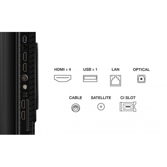 Televizor TCL  55P81K