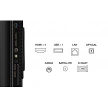 Televizor TCL  55P81K