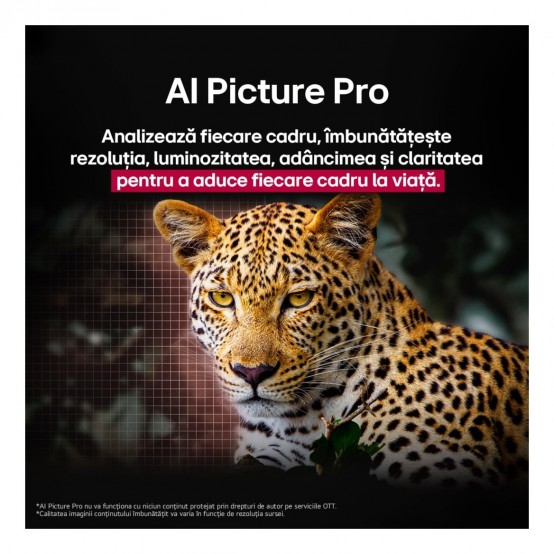 Televizor LG  OLED48G53LS