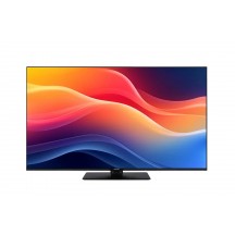 Televizor Panasonic  TB-55W61AEZ