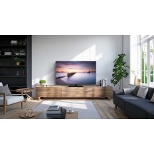 Televizor Panasonic  TV-50W80AEZ