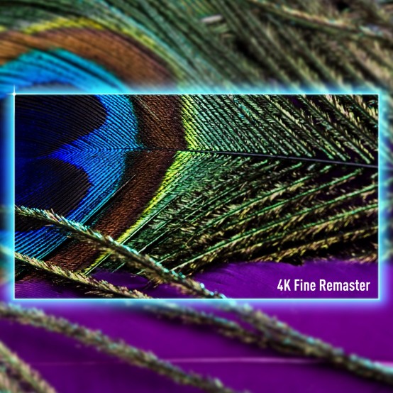 Televizor Panasonic  TV-65W95AEG