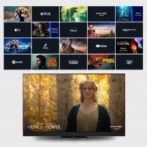 Televizor Panasonic  TV-65Z90AEG
