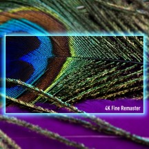 Televizor Panasonic  TV-75W95AEG