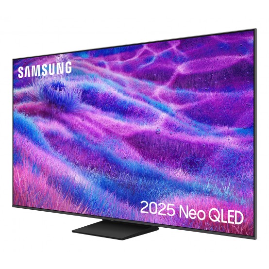 Televizor Samsung  QE65QN80FA