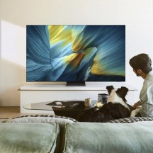 Televizor Samsung  QE65S95FA