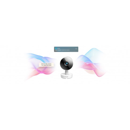 Camera de supraveghere D-Link  DCS-8350LH