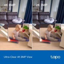 Camera de supraveghere TP-Link  TAPO C250