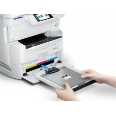 Cartus Epson EM-C8101 C13T13M140