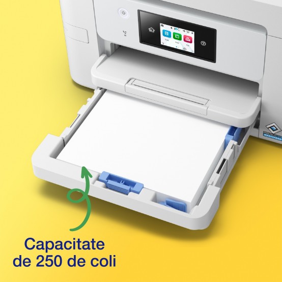 Imprimanta Epson WorkForce Pro WF-M4619DWF C11CK74401