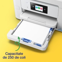 Imprimanta Epson WorkForce Pro WF-M4619DWF C11CK74401