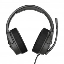 Casca Trust GXT 4371 Ward 23799