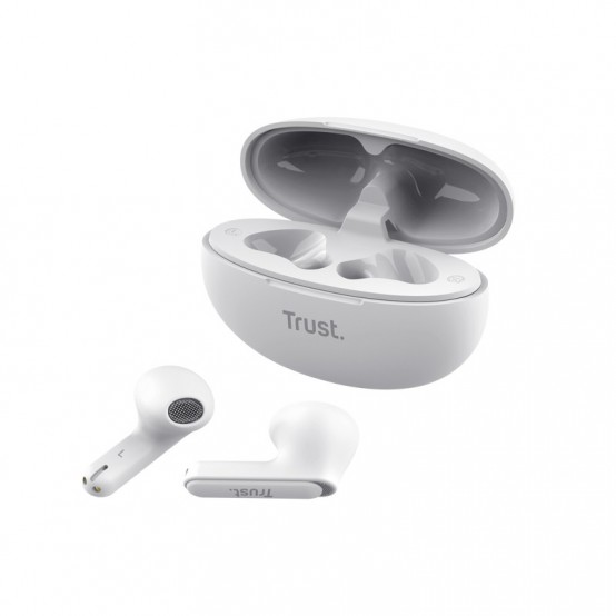 Casca Trust Yavi 25173