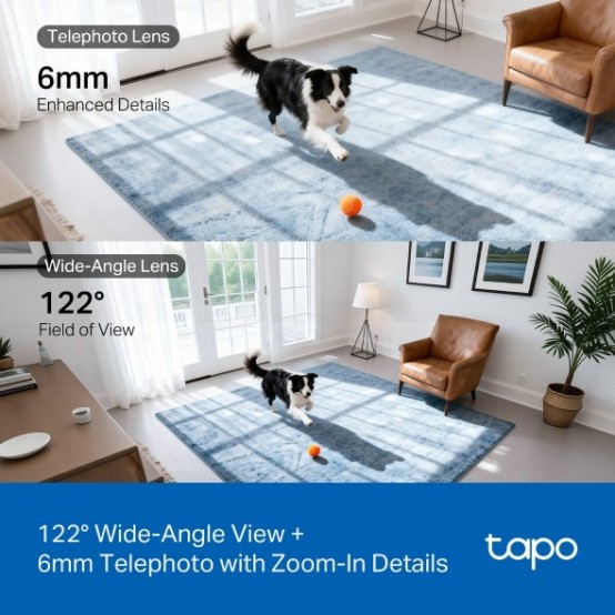 Camera de supraveghere TP-Link  TAPO C245D