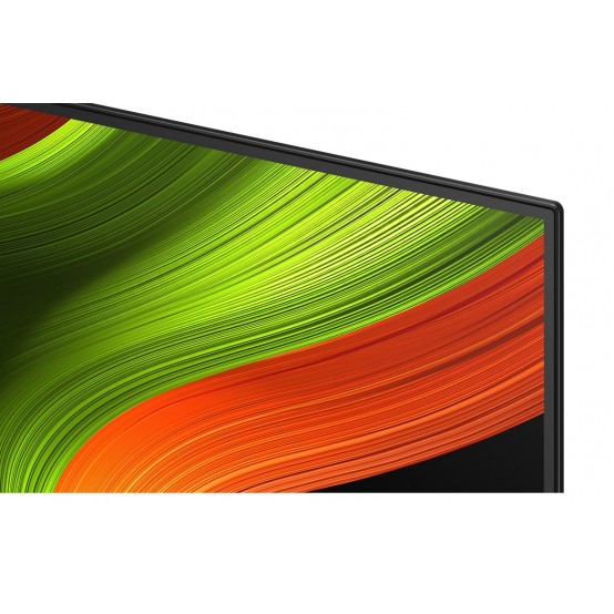 Televizor LG OLED48B56LA