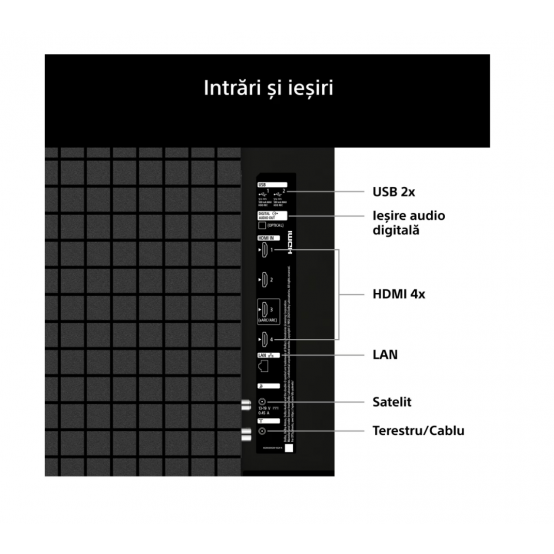 Televizor Sony K43S25M2PB.CEI