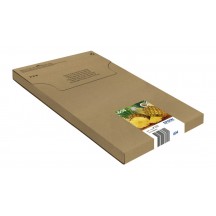 Cartus Epson 604 C13T10G64510