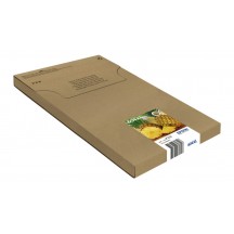 Cartus Epson 604XL C13T10H64510