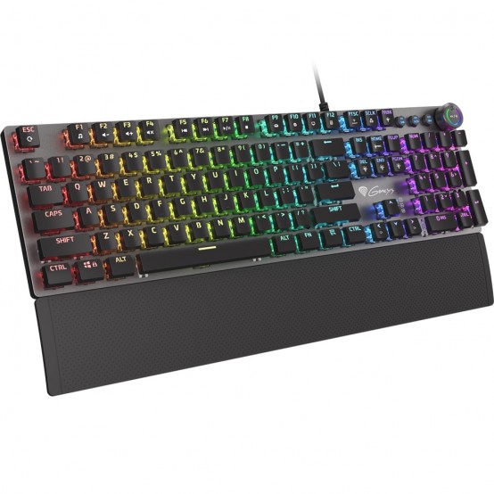 Tastatura Genesis Thor 380 RGB